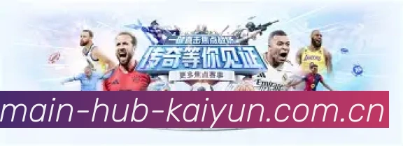 未来规划